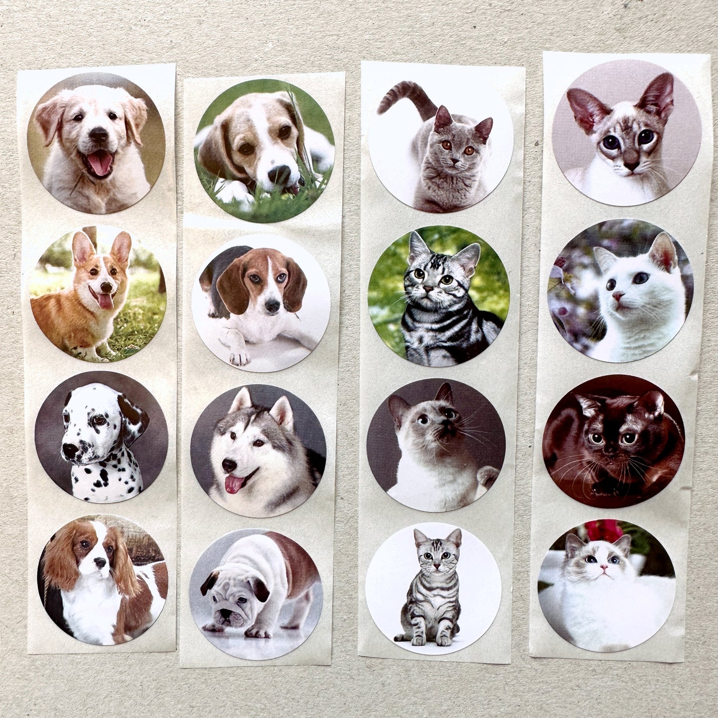 Cute Dogs & Cats - Round Sticker Seal SAMPLES