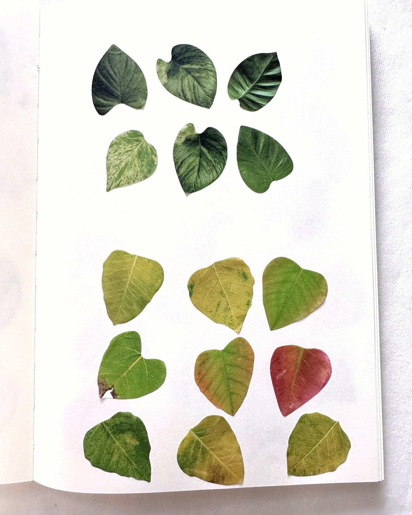 Fall Leaves paper sticker rolls
