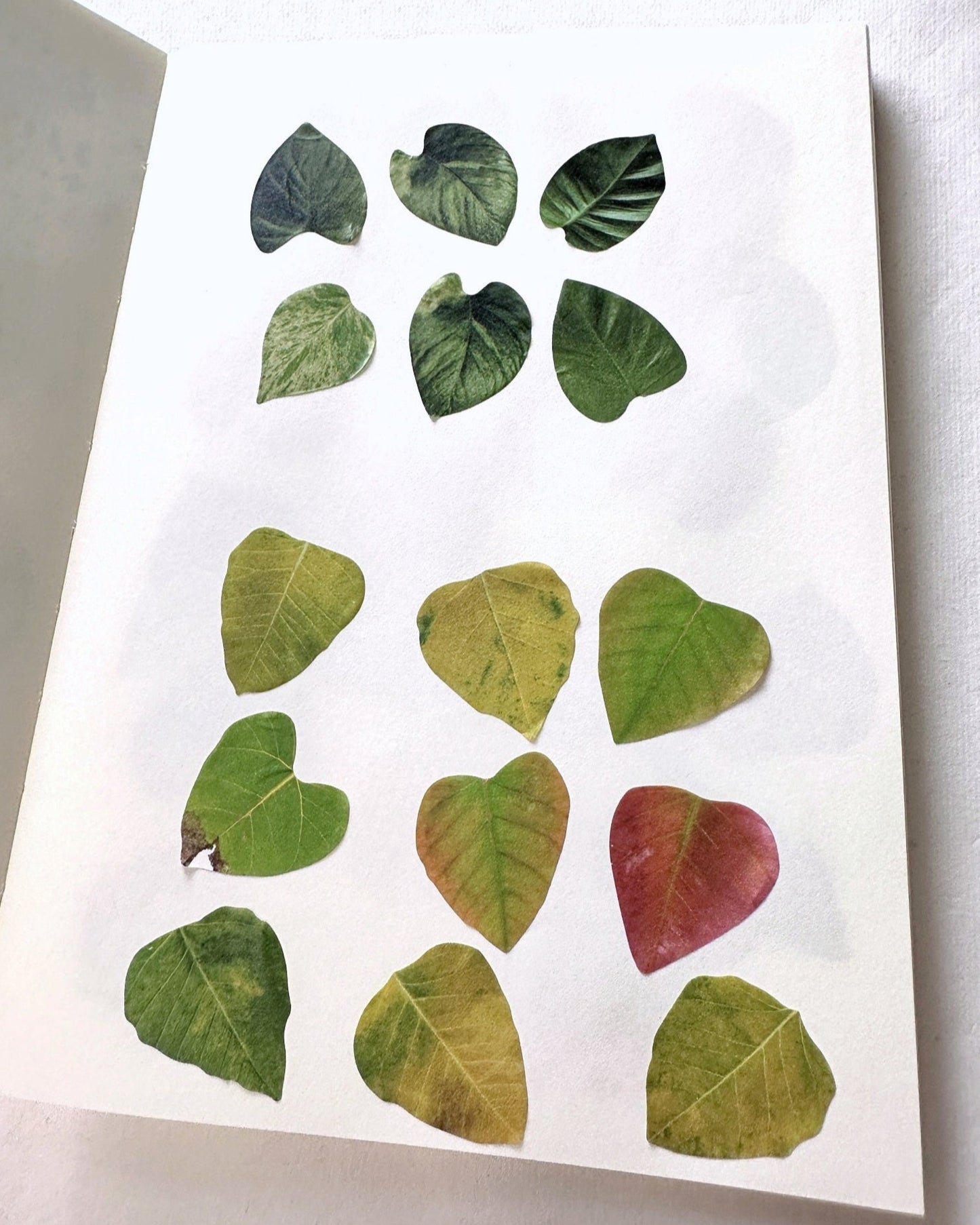 Fall Leaves paper sticker rolls