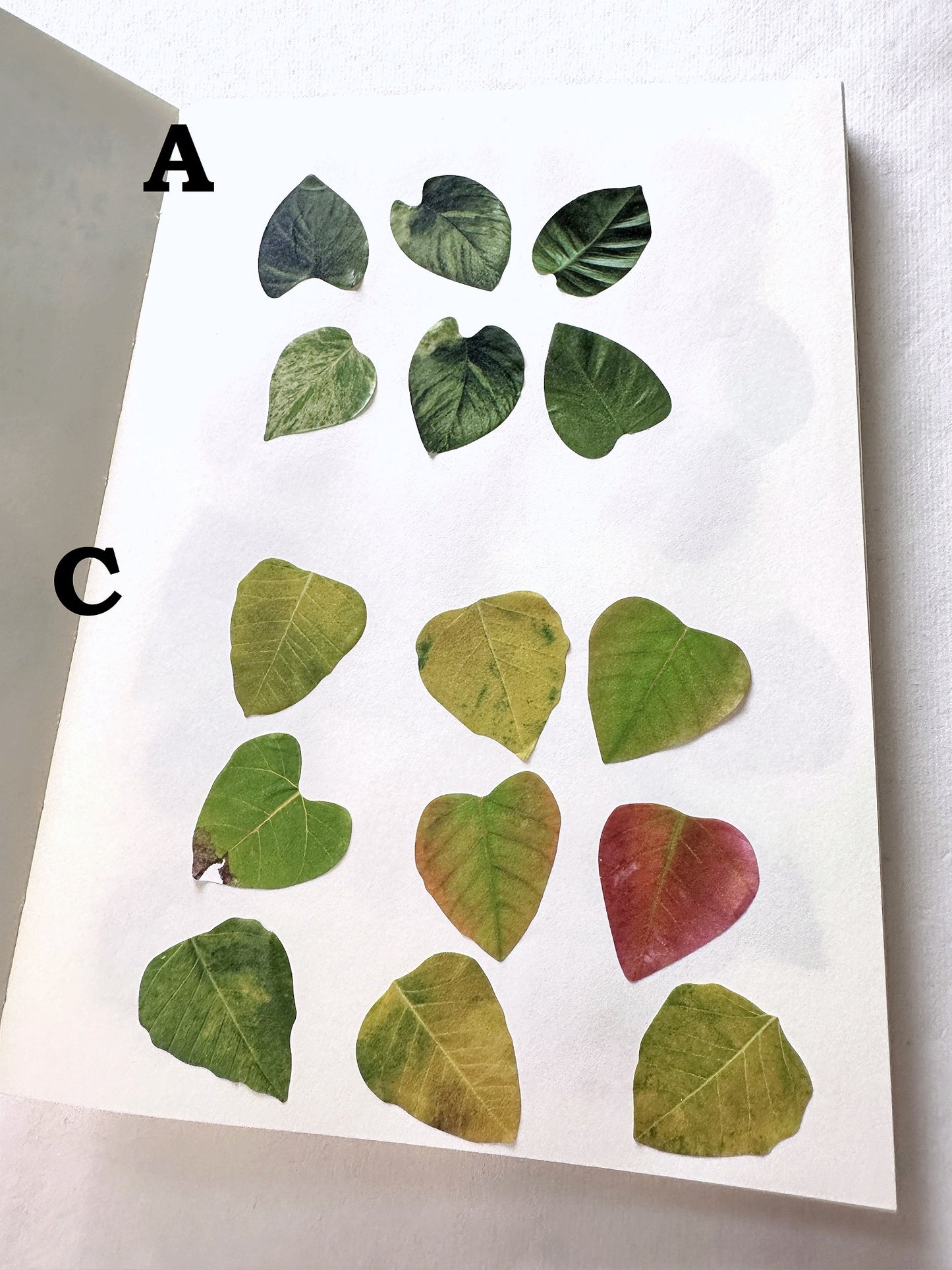 Fall Leaves paper sticker rolls