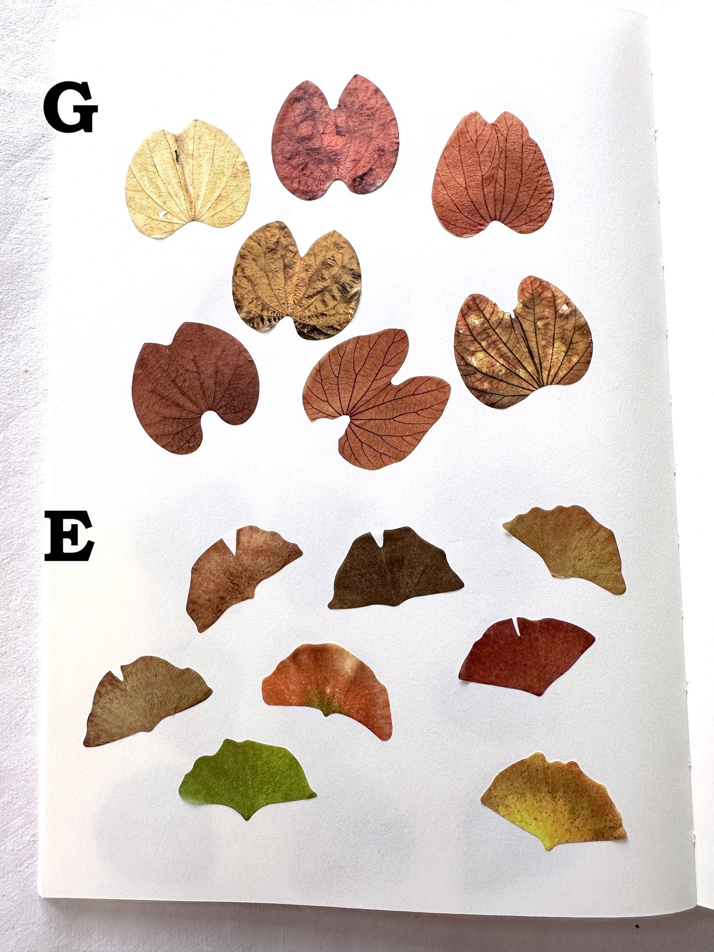 Fall Leaves paper sticker rolls