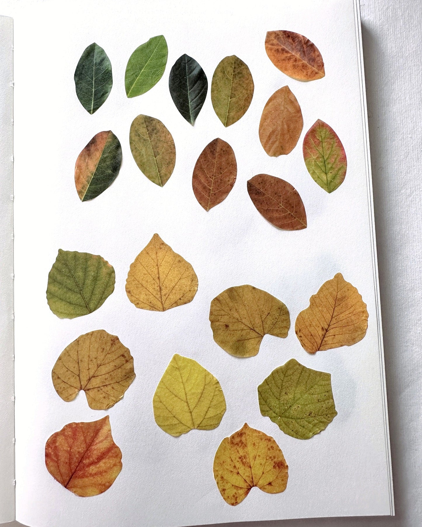 Fall Leaves paper sticker rolls