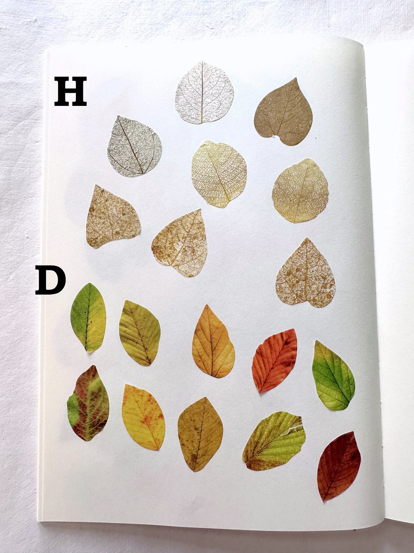 Fall Leaves paper sticker rolls