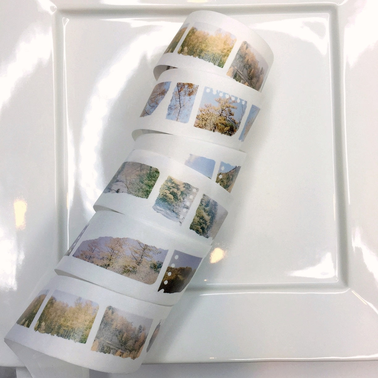 Stationery Instinct - Walked & Seen washi tape SAMPLES