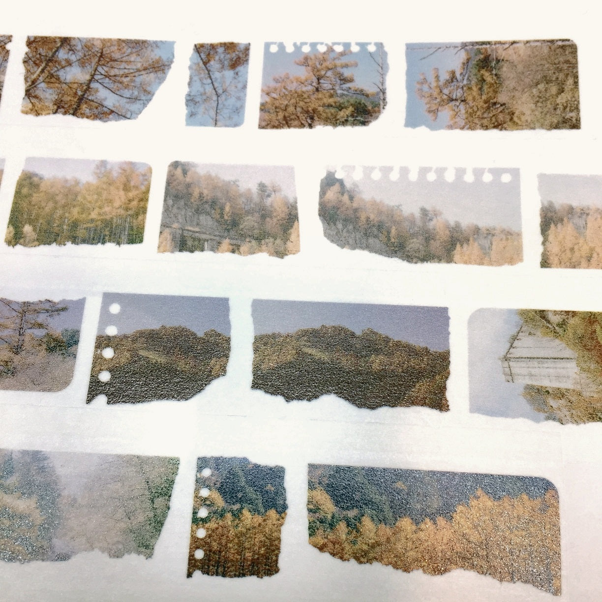 Stationery Instinct - Walked & Seen washi tape SAMPLES