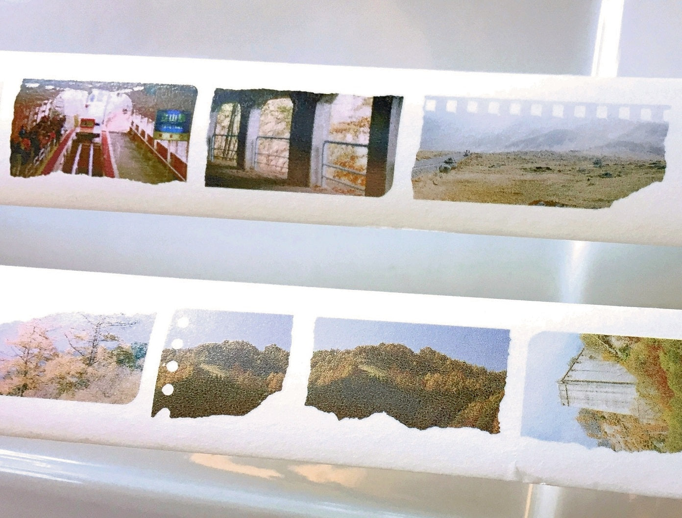 Stationery Instinct - Walked & Seen washi tape SAMPLES
