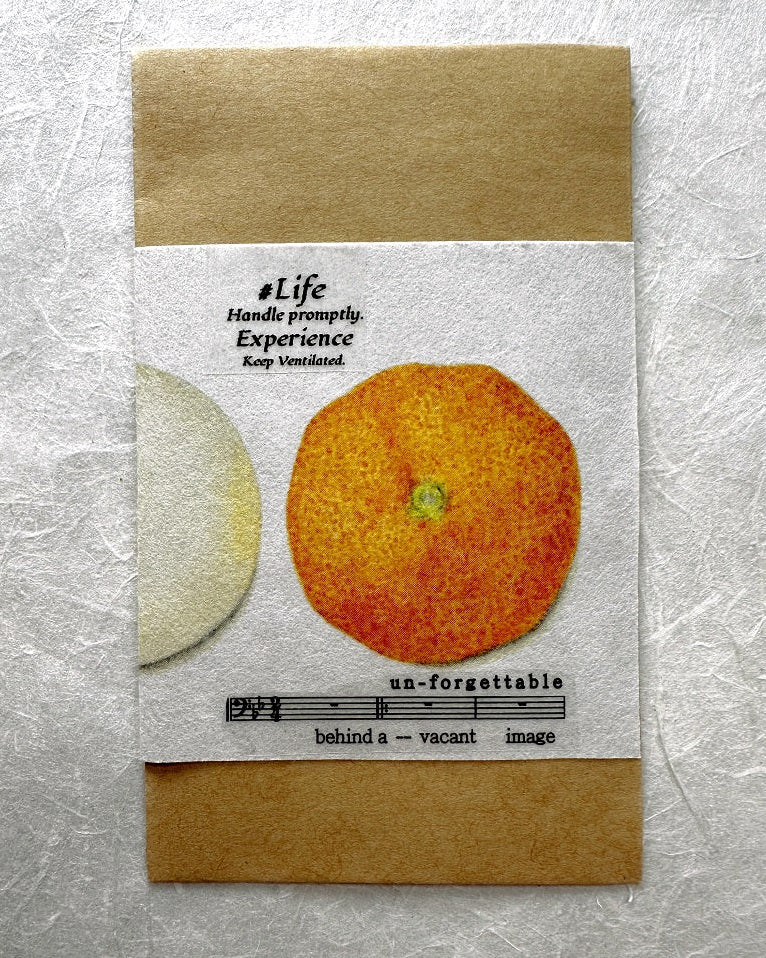 Stationery Instinct - Label II PET tape SAMPLES