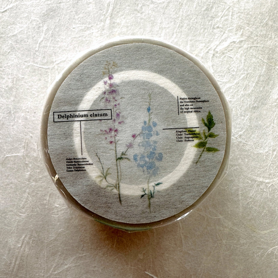 Stationery Instinct - Blossom PET tape SAMPLES