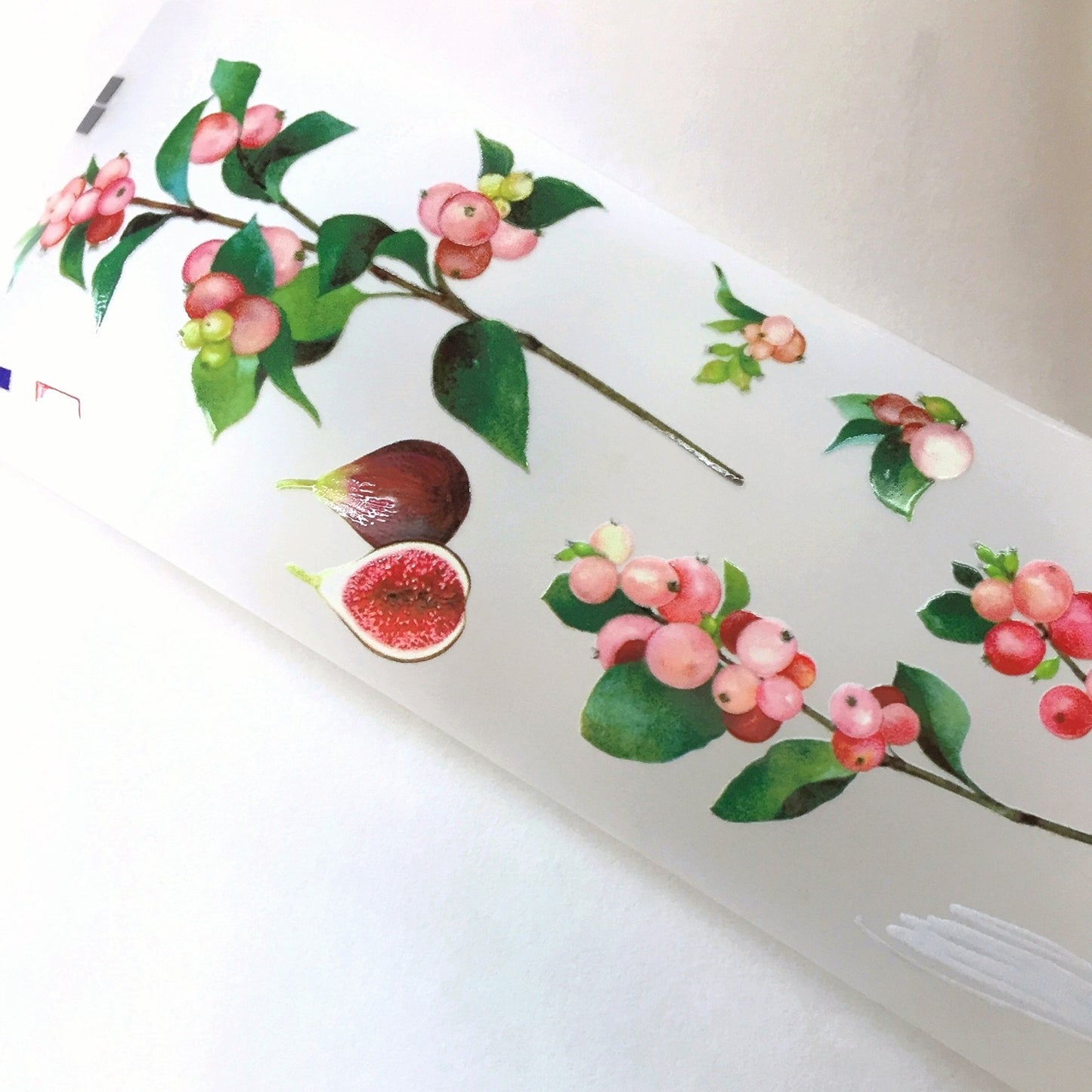 Somesortoffern - The Fruitful PET tape SAMPLES