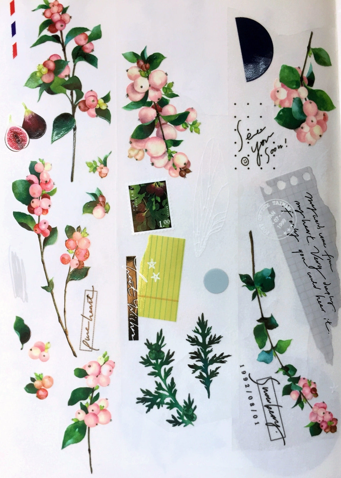 Somesortoffern - The Fruitful PET tape SAMPLES
