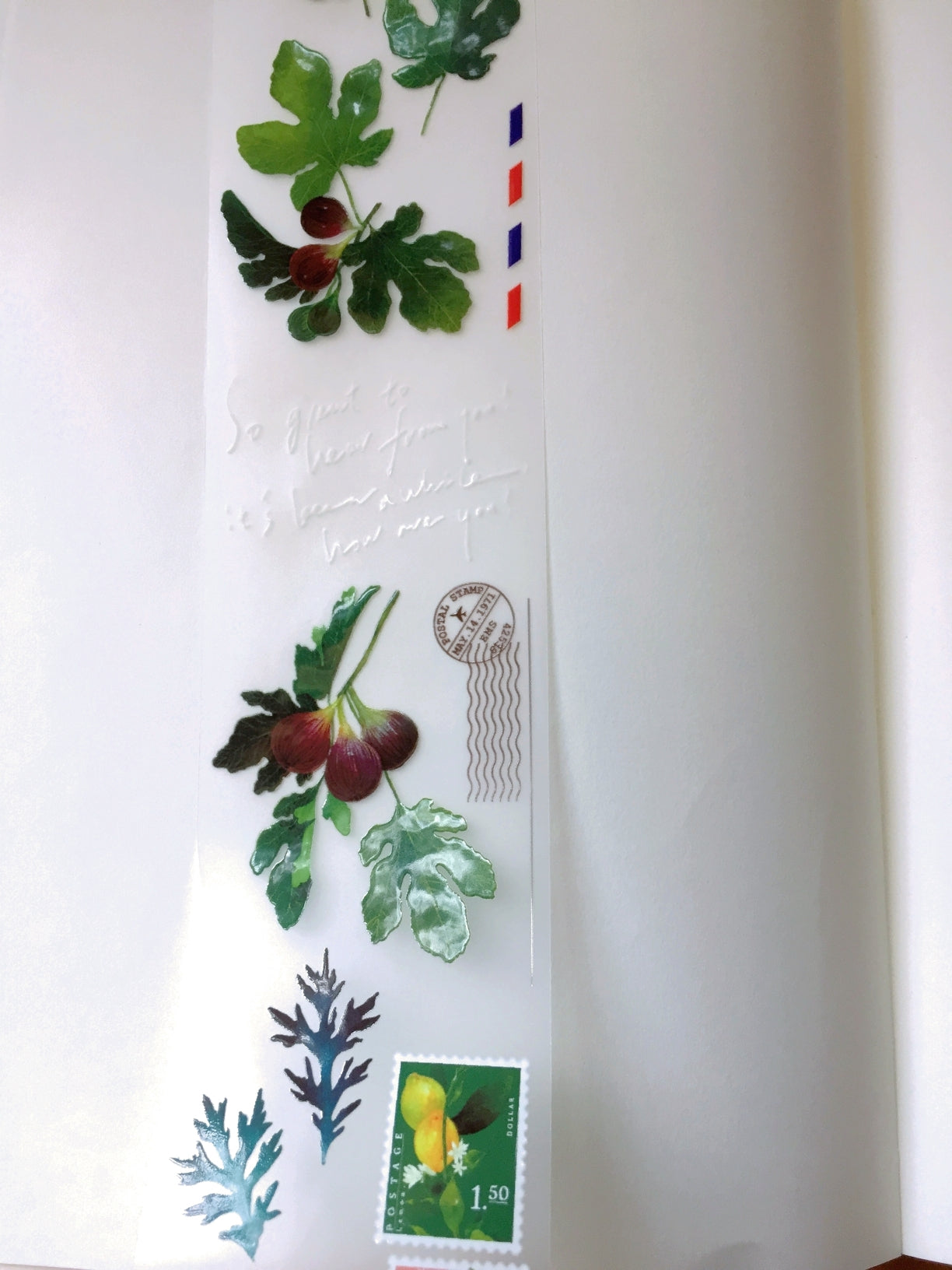 Somesortoffern - The Fruitful PET tape SAMPLES