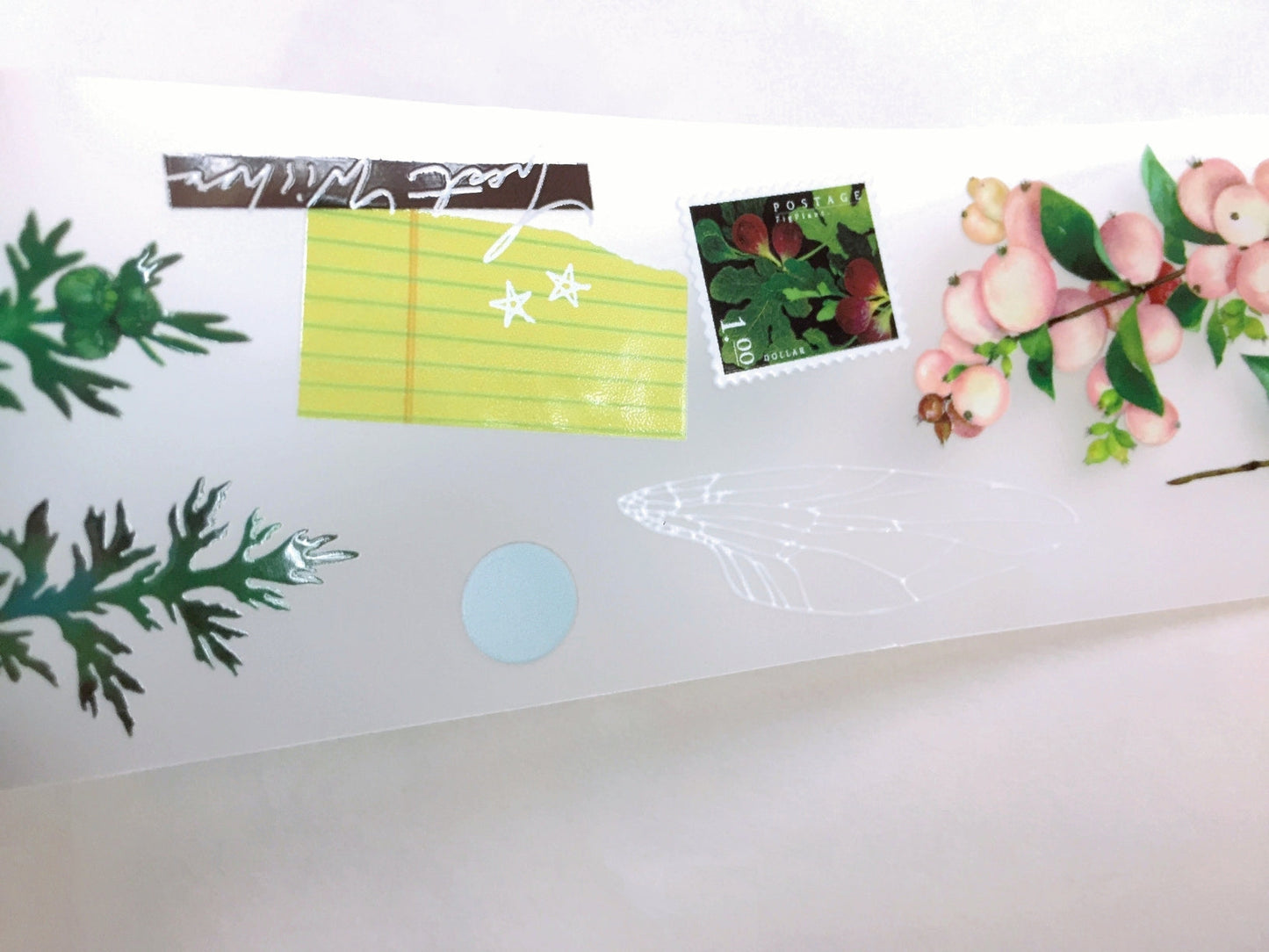 Somesortoffern - The Fruitful PET tape SAMPLES