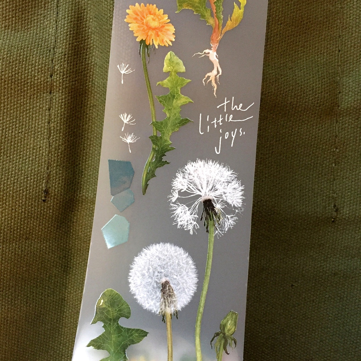Somesortoffern - Dandelion PET tape SAMPLES
