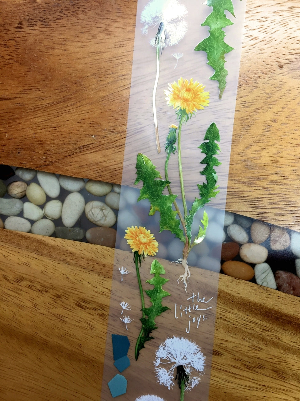 Somesortoffern - Dandelion PET tape SAMPLES
