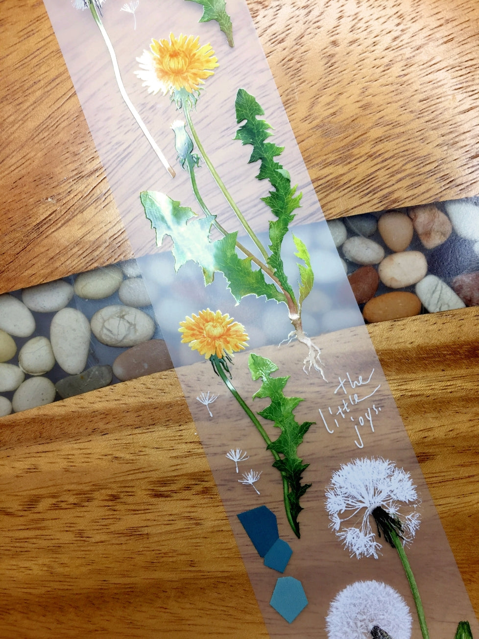 Somesortoffern - Dandelion PET tape SAMPLES
