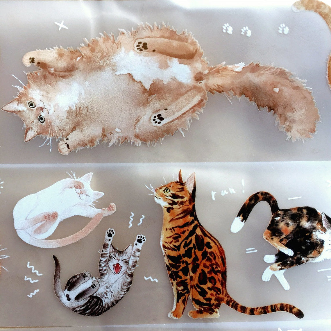 Somesortoffern - Ginger PET tape SAMPLES
