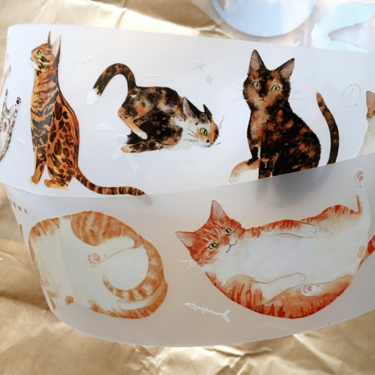 Somesortoffern - Ginger PET tape SAMPLES