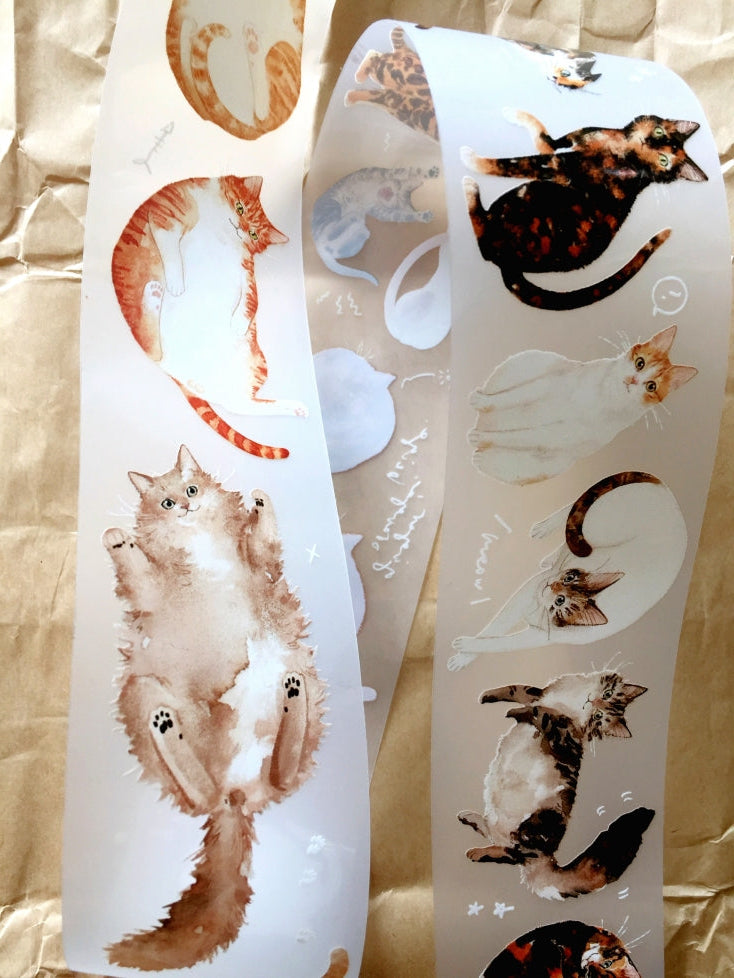 Somesortoffern - Ginger PET tape SAMPLES