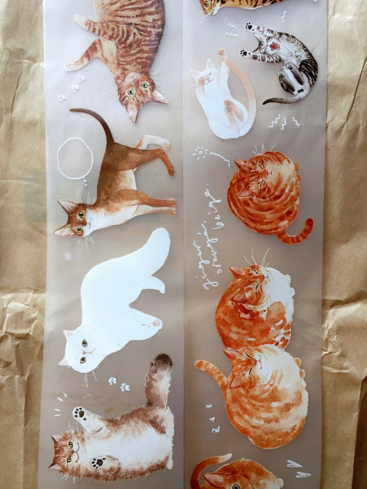 Somesortoffern - Ginger PET tape SAMPLES