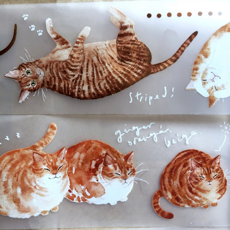 Somesortoffern - Ginger PET tape SAMPLES