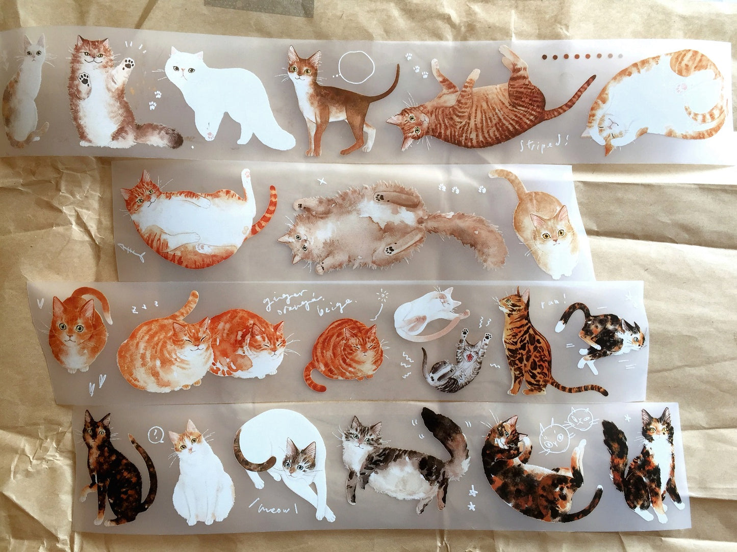 Somesortoffern - Ginger PET tape SAMPLES
