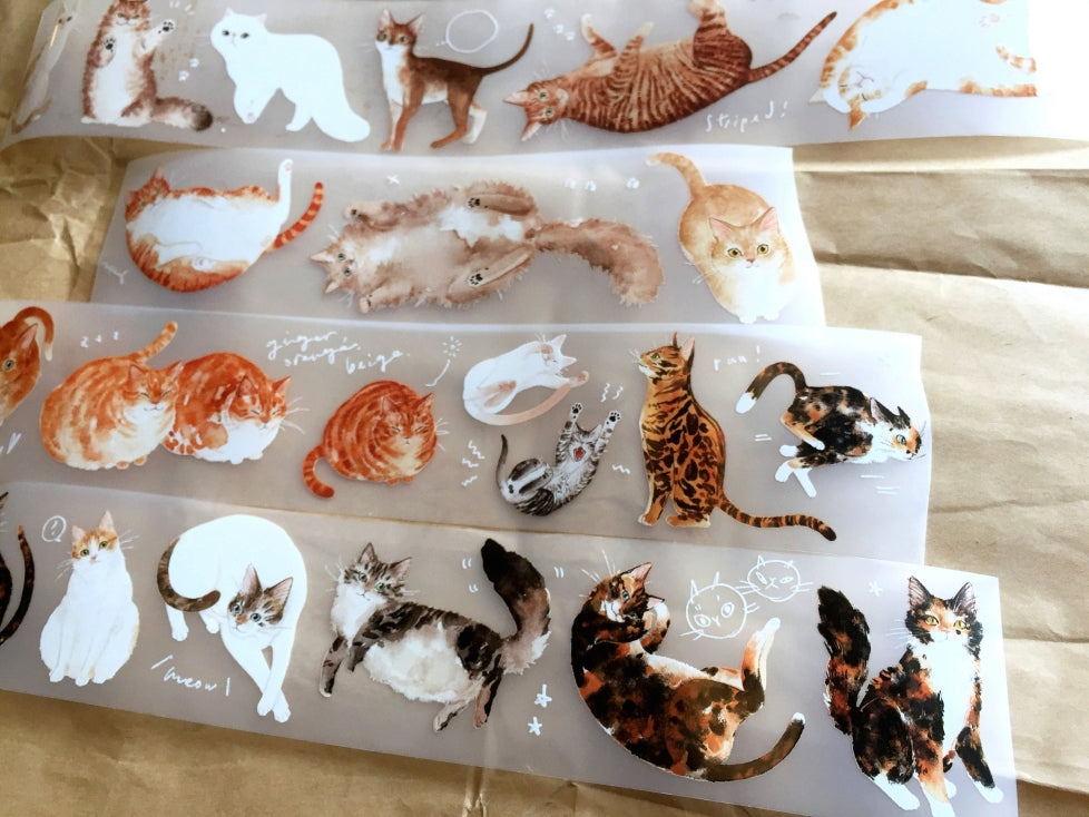 Somesortoffern - Ginger PET tape SAMPLES