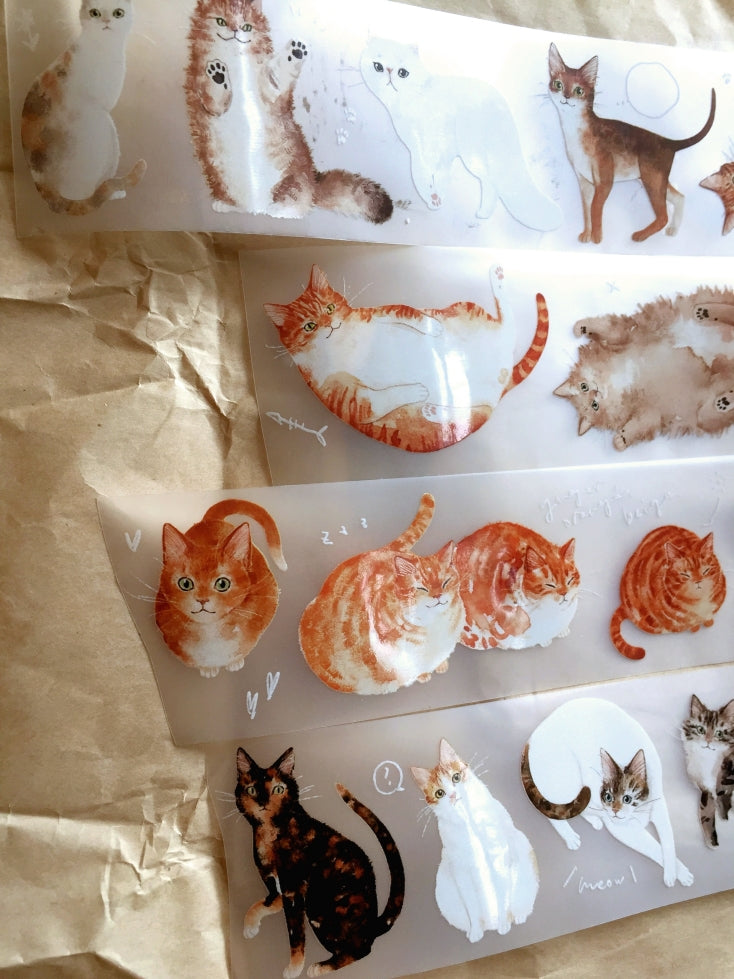 Somesortoffern - Ginger PET tape SAMPLES