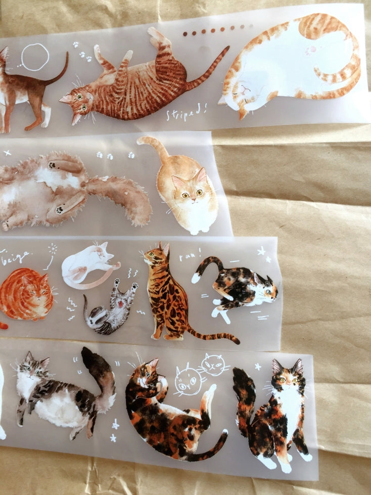 Somesortoffern - Ginger PET tape SAMPLES