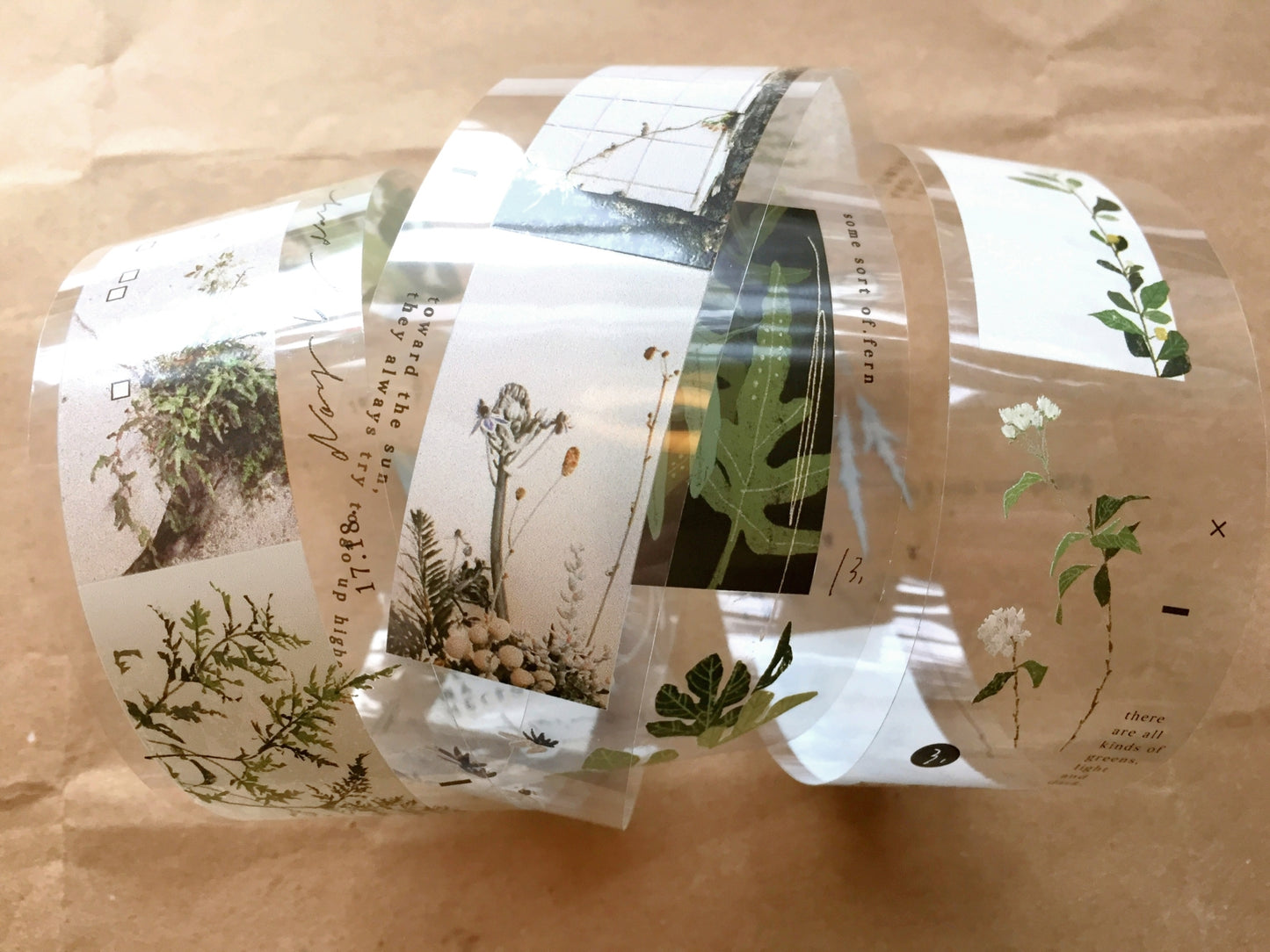 Somesortoffern - Days with Leaves PET tape SAMPLES