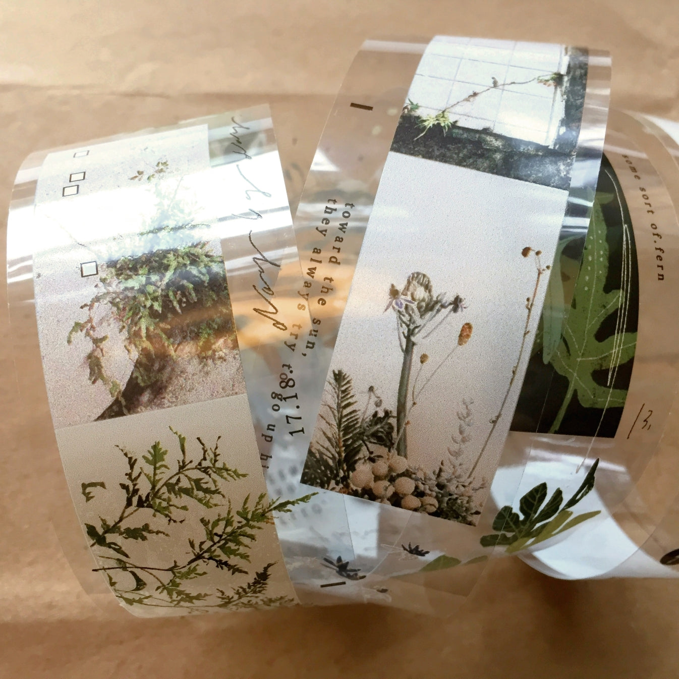 Somesortoffern - Days with Leaves PET tape SAMPLES