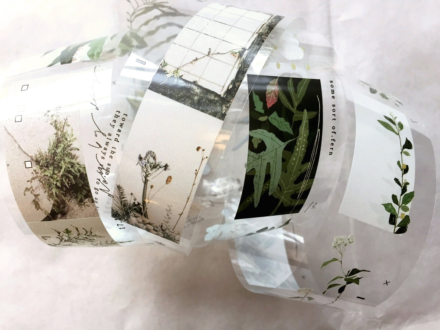 Somesortoffern - Days with Leaves PET tape SAMPLES