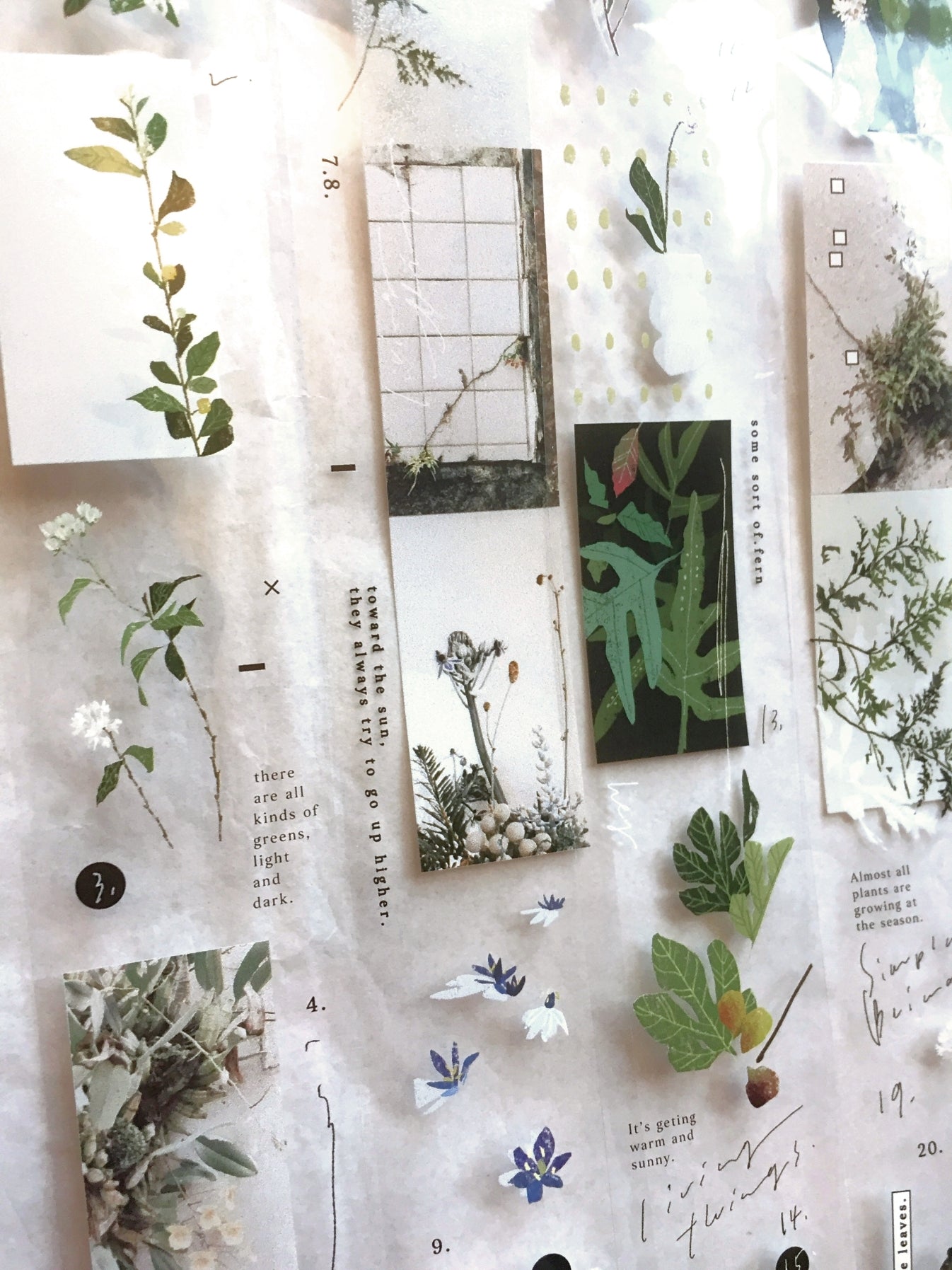 Somesortoffern - Days with Leaves PET tape SAMPLES