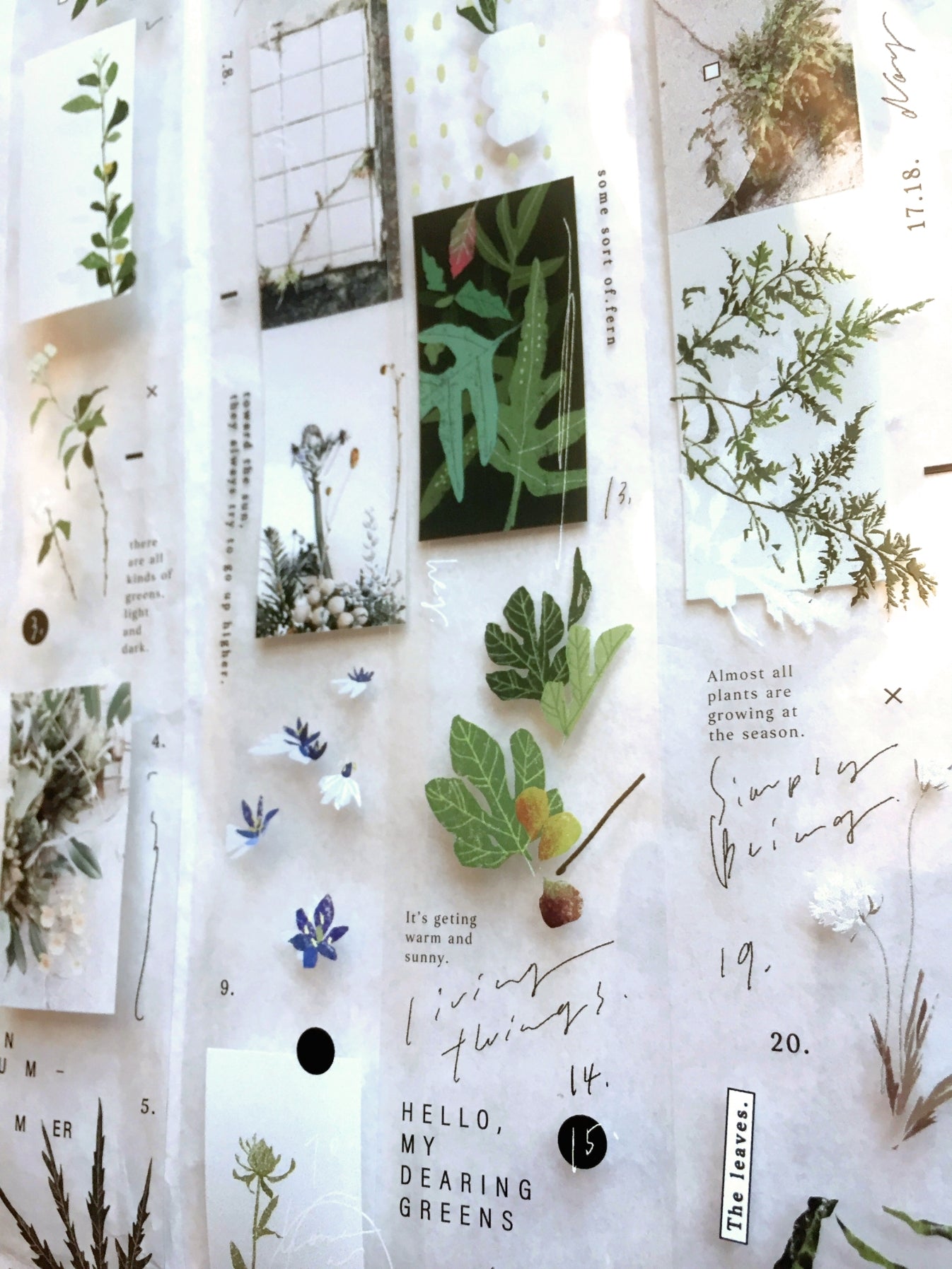 Somesortoffern - Days with Leaves PET tape SAMPLES