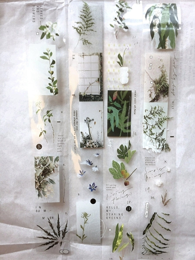 Somesortoffern - Days with Leaves PET tape SAMPLES