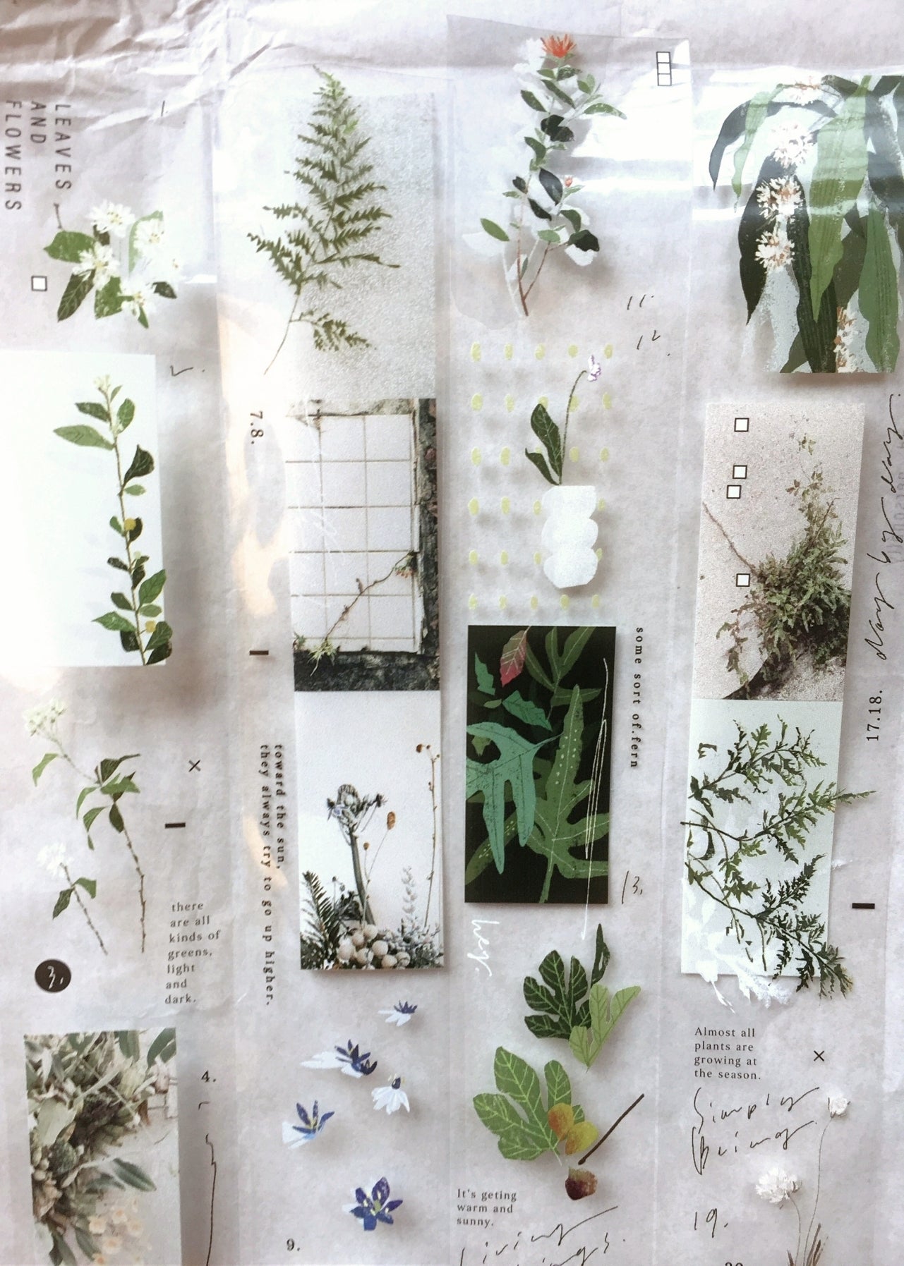 Somesortoffern - Days with Leaves PET tape SAMPLES