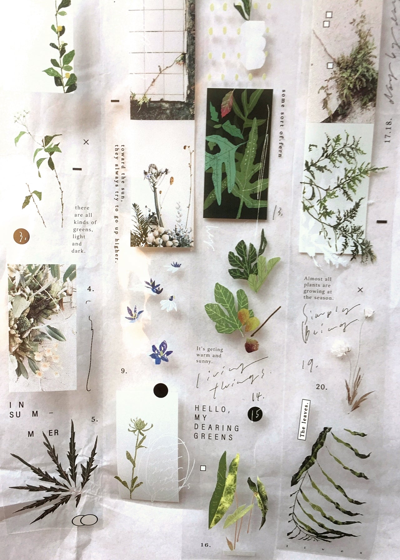 Somesortoffern - Days with Leaves PET tape SAMPLES
