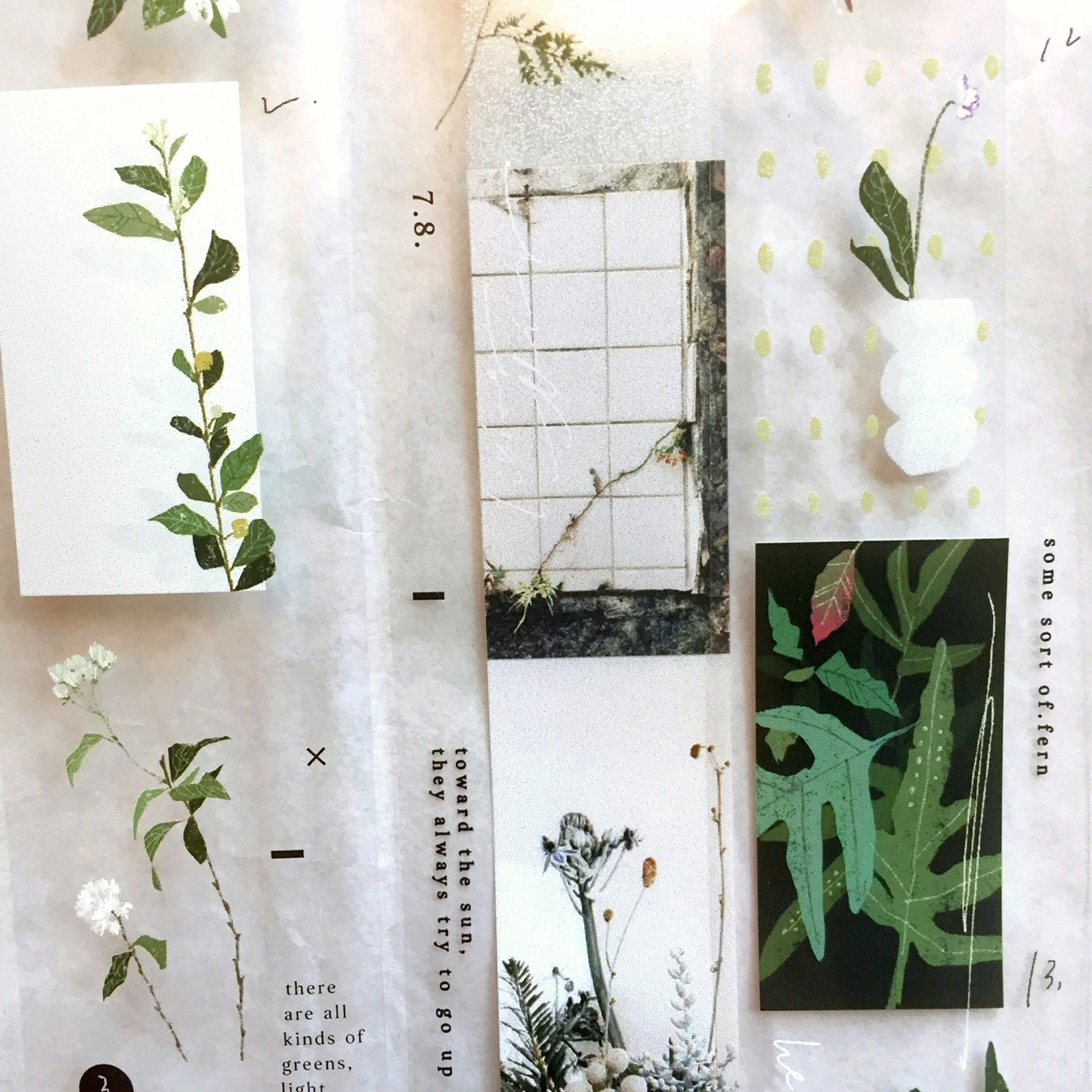 Somesortoffern - Days with Leaves PET tape SAMPLES