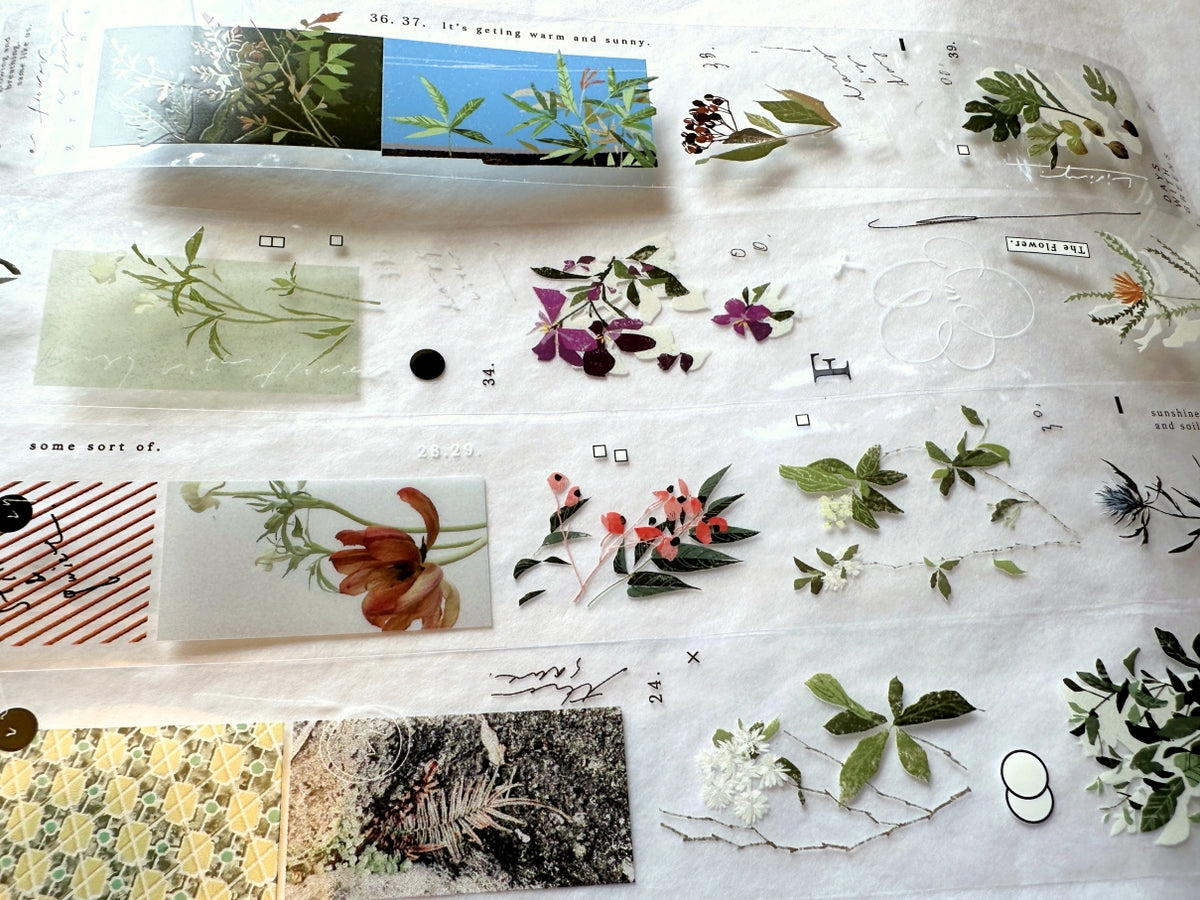 Somesortoffern - The Flower PET tape SAMPLES