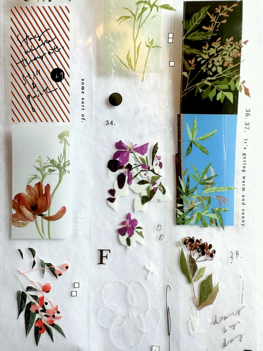 Somesortoffern - The Flower PET tape SAMPLES