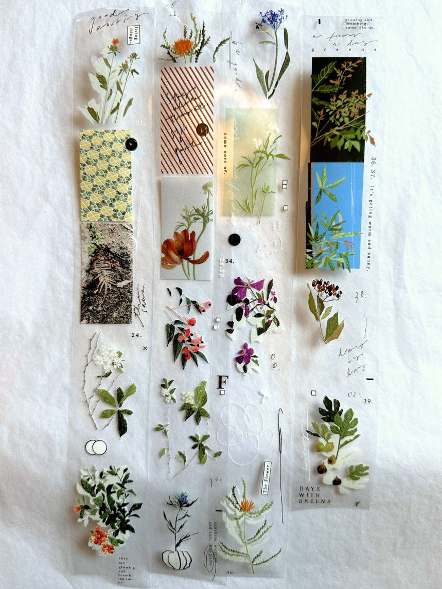 Somesortoffern - The Flower PET tape SAMPLES