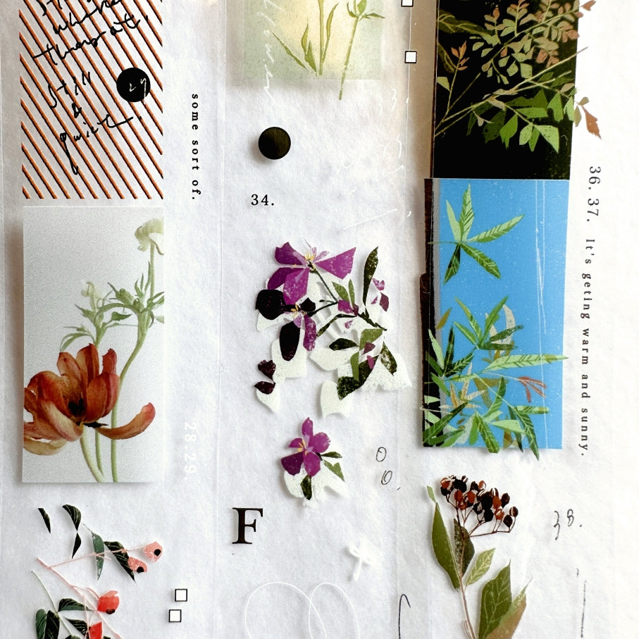 Somesortoffern - The Flower PET tape SAMPLES