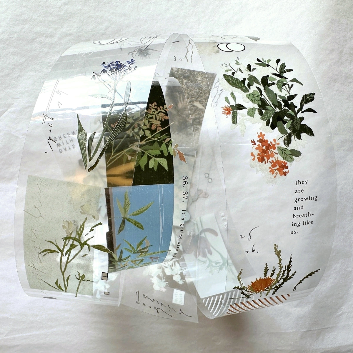 Somesortoffern - The Flower PET tape SAMPLES