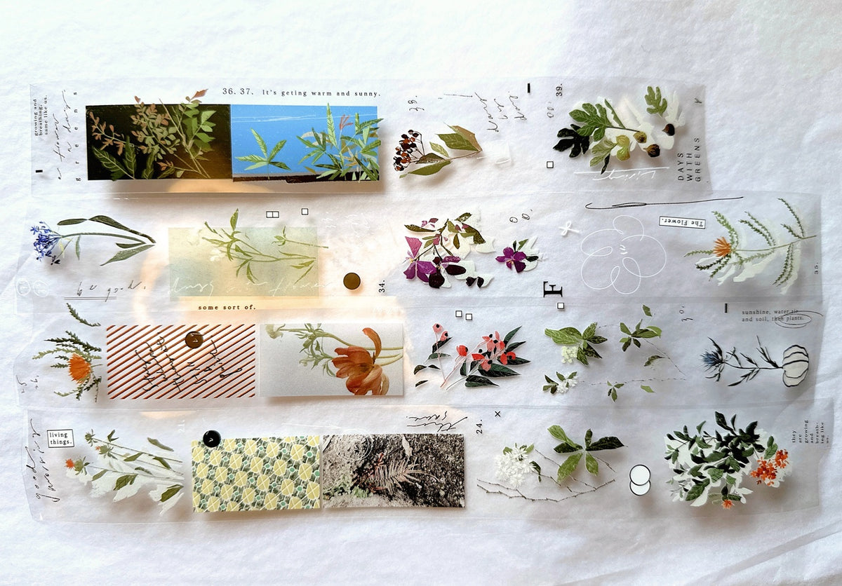 Somesortoffern - The Flower PET tape SAMPLES