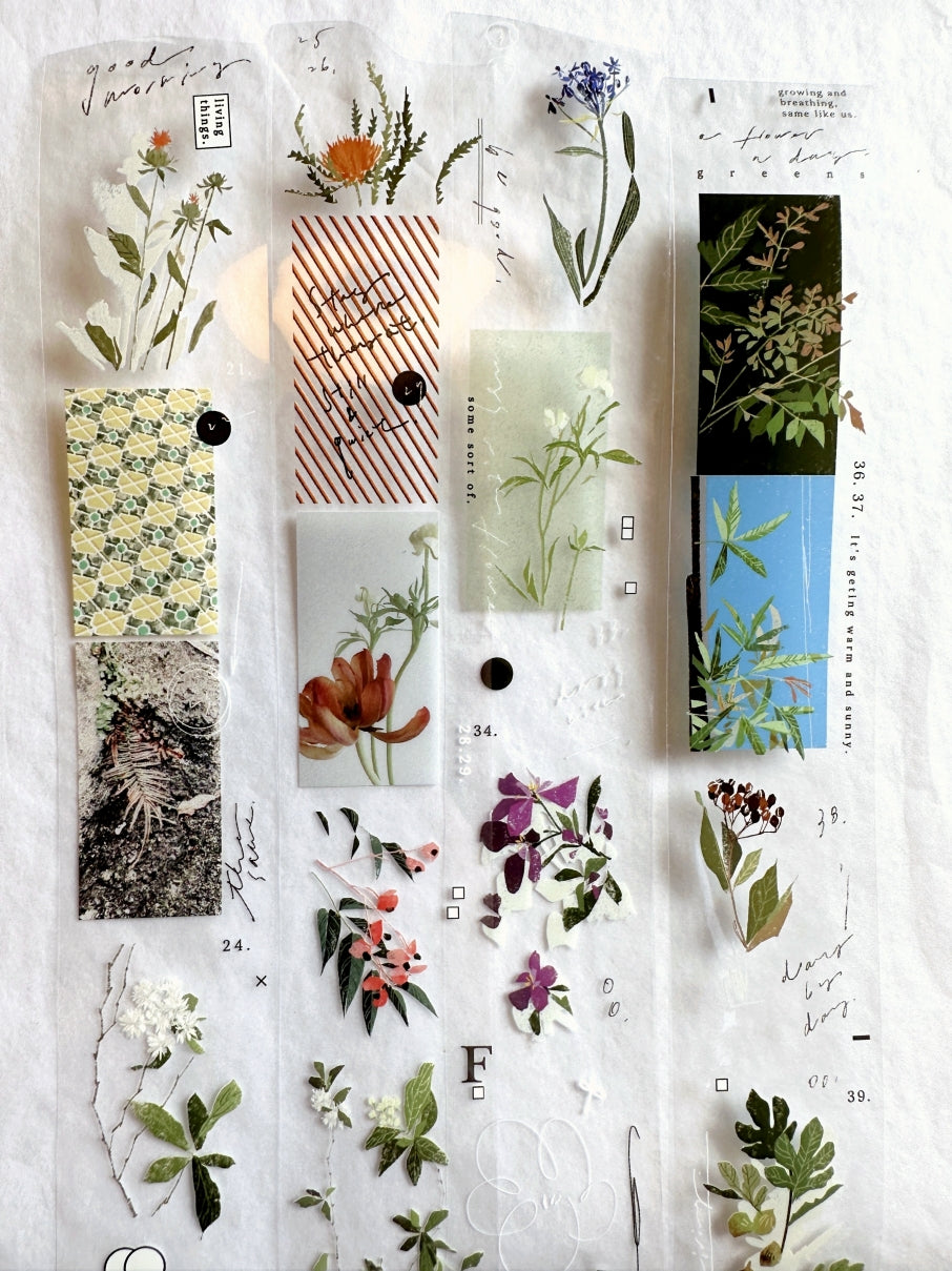 Somesortoffern - The Flower PET tape SAMPLES