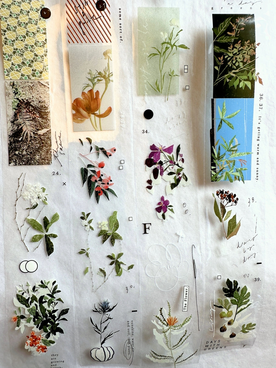 Somesortoffern - The Flower PET tape SAMPLES
