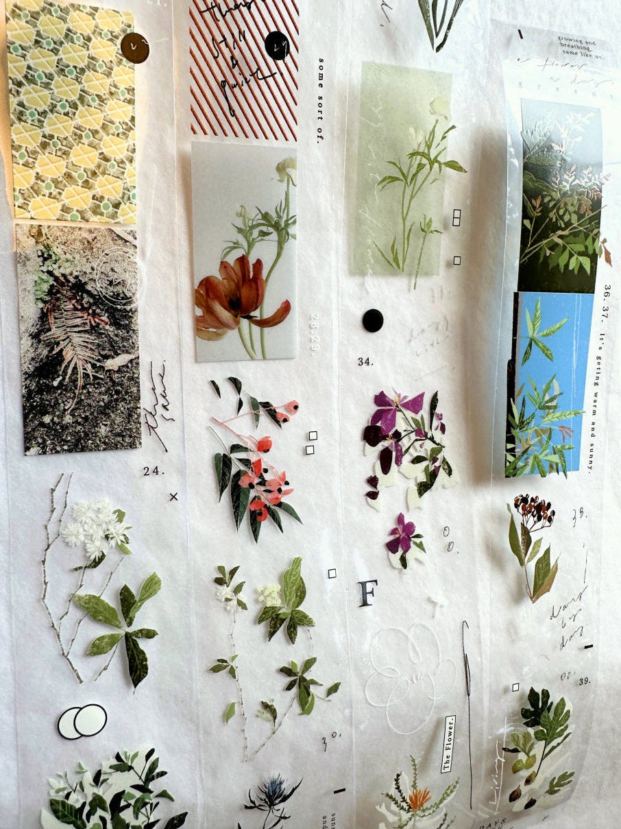 Somesortoffern - The Flower PET tape SAMPLES