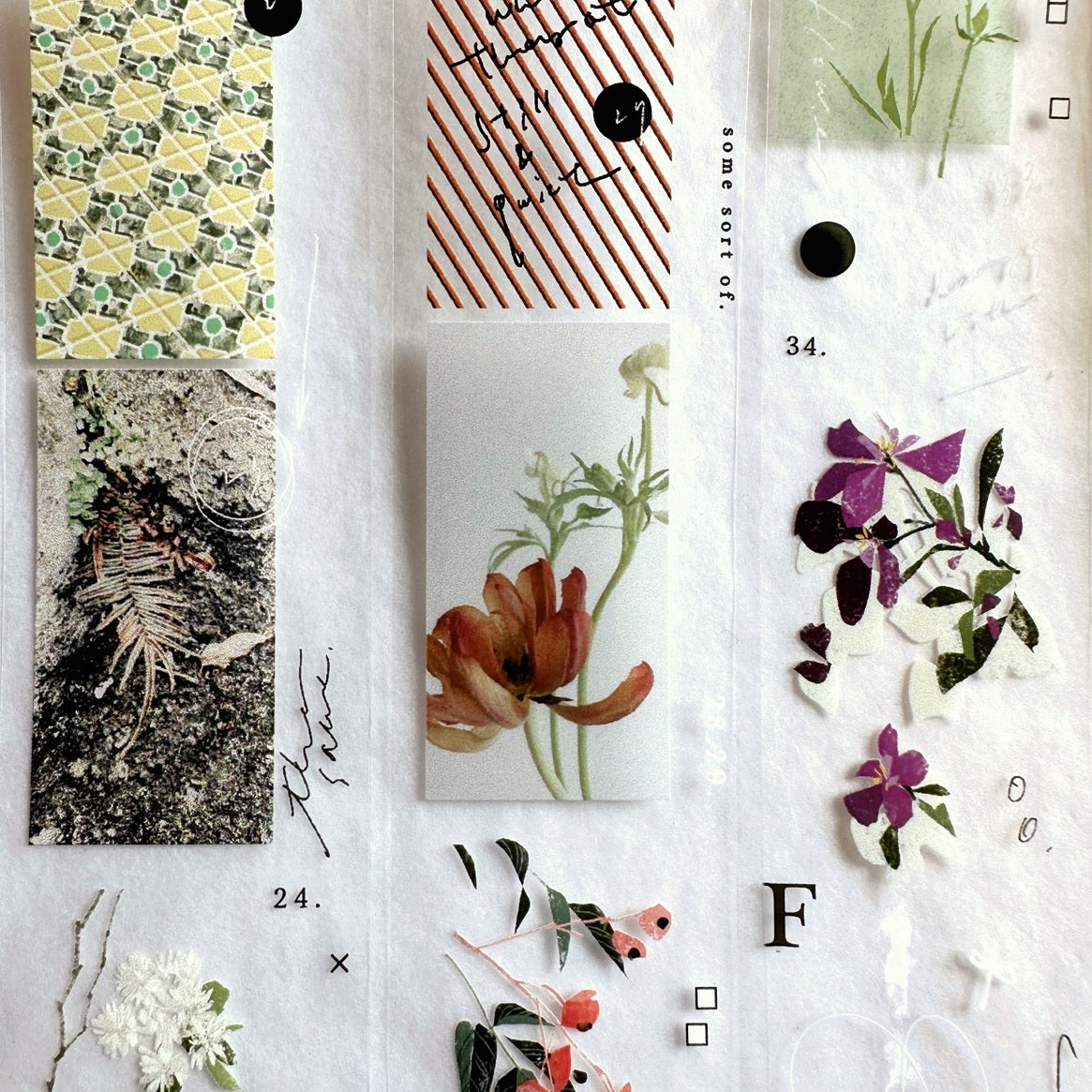 Somesortoffern - The Flower PET tape SAMPLES