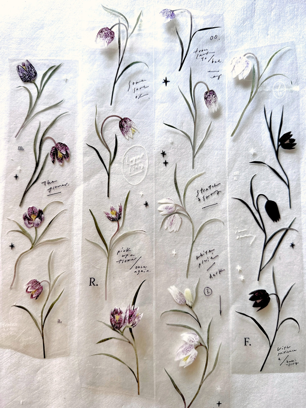 Somesortoffern - Fritillary Flower PET tape SAMPLES