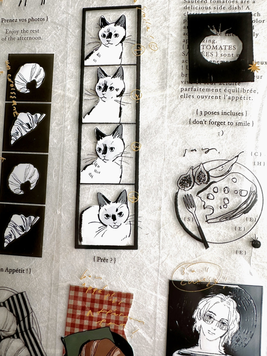 Somesortoffern - Petit Photo Booth PET tape SAMPLES
