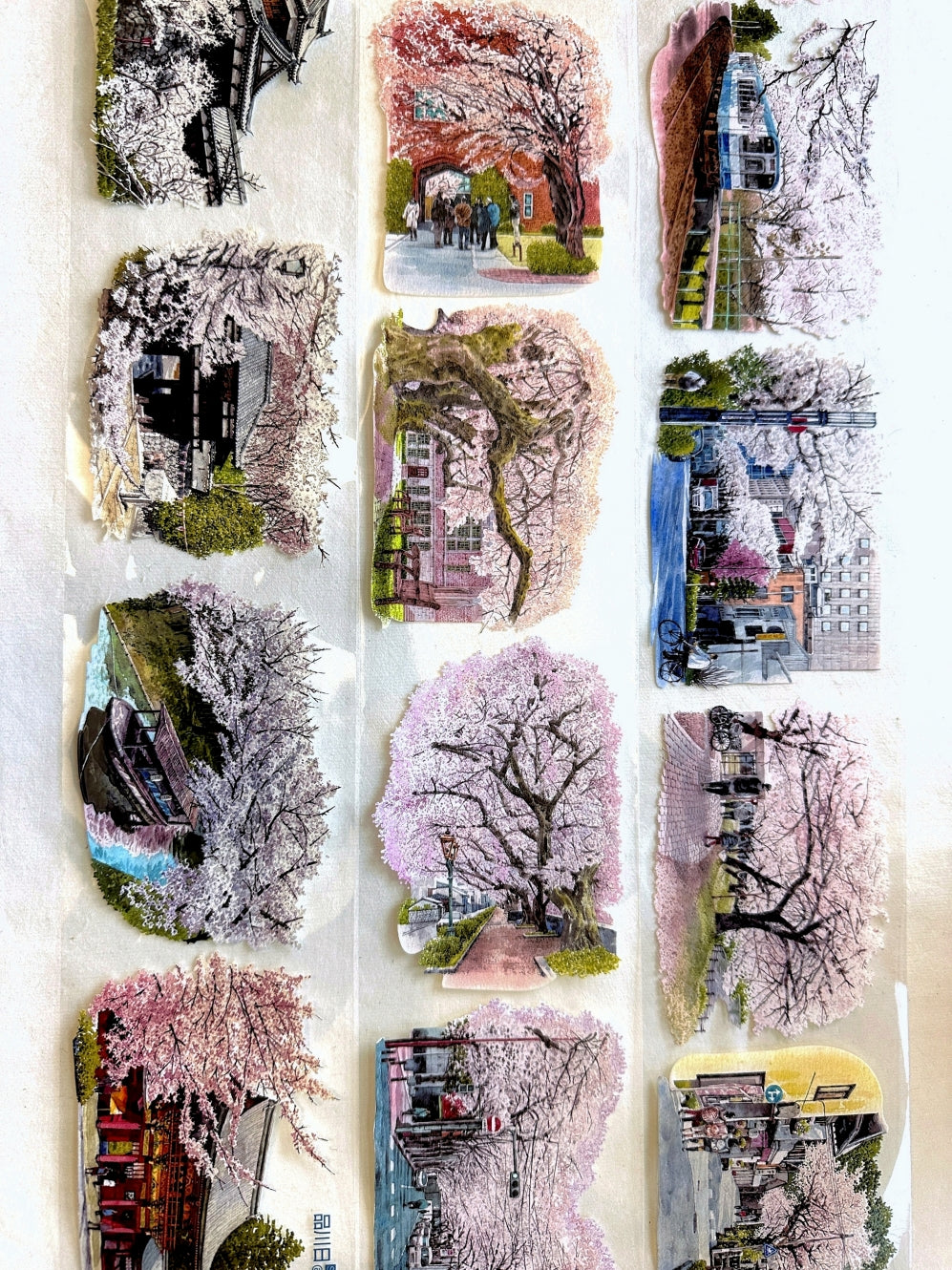 品川日-SUN - Pink Floral Fragrance 8 cm crystal ink PET tape SAMPLES